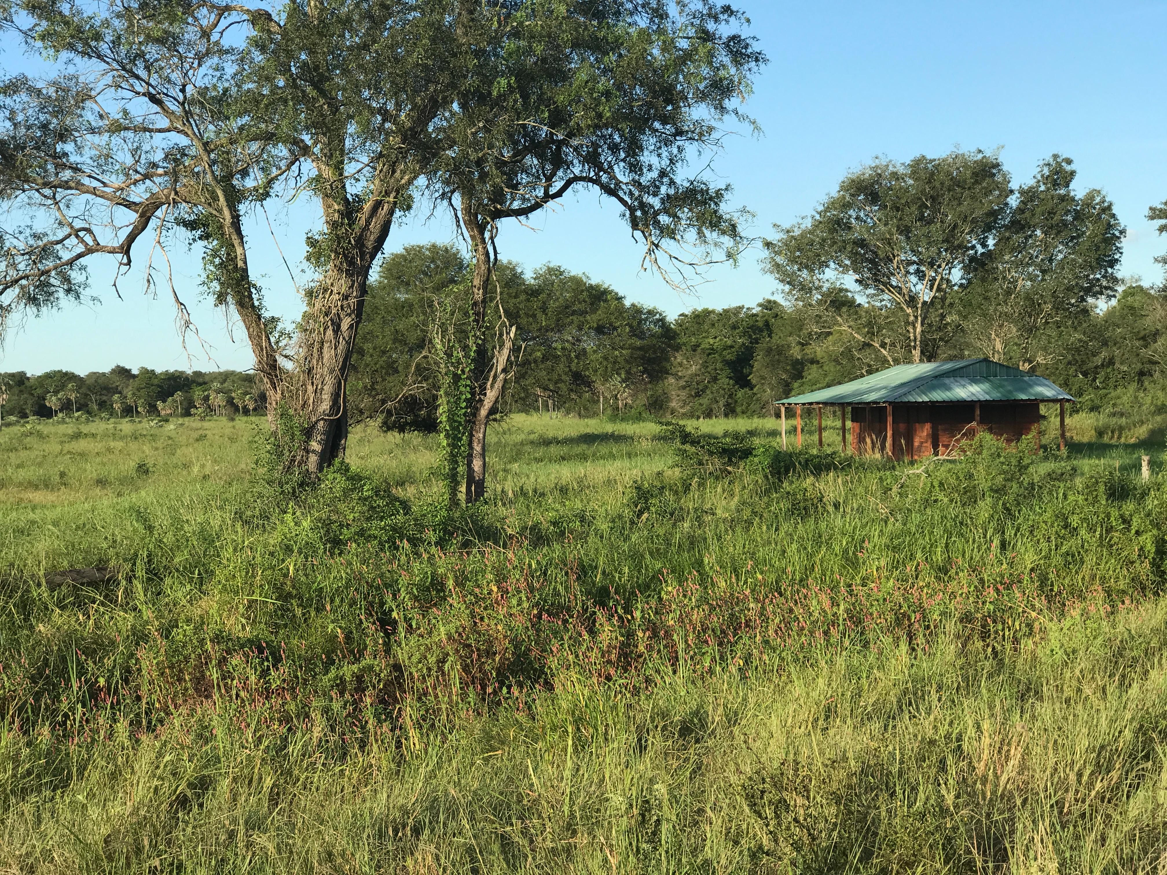 Campo Lindo - Imagen